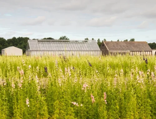 Bestemmingswijziging levert belastbare winst op